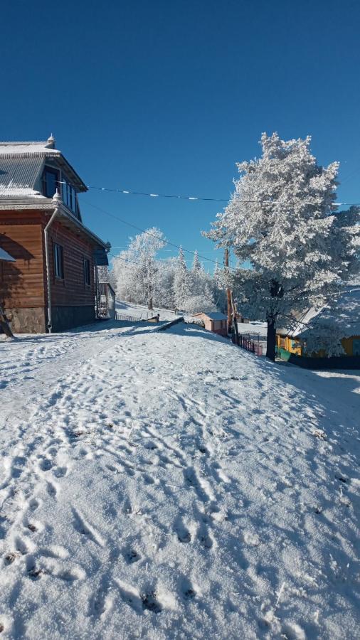 Gutsulska Oselya Villa Krivopol'ye ภายนอก รูปภาพ