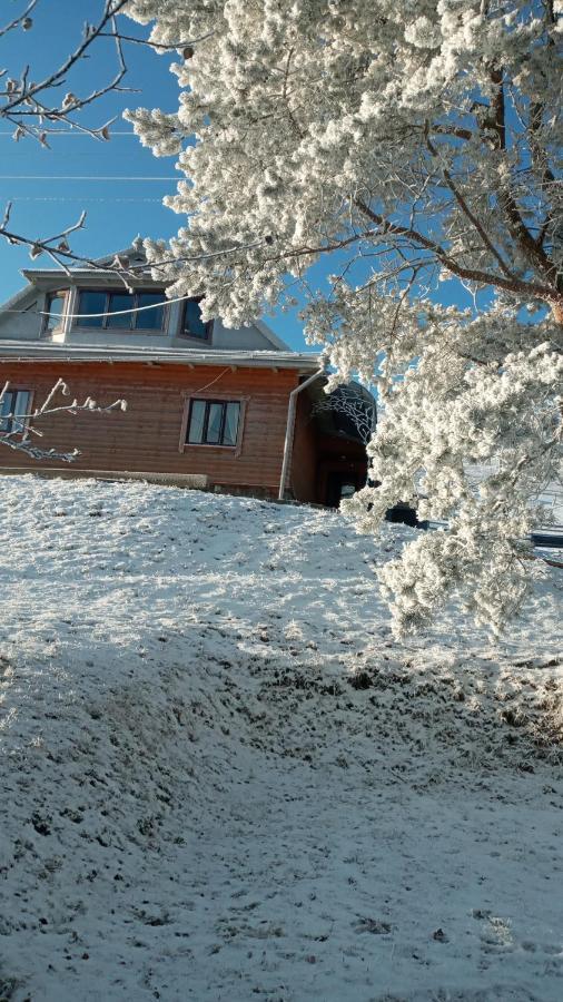 Gutsulska Oselya Villa Krivopol'ye ภายนอก รูปภาพ